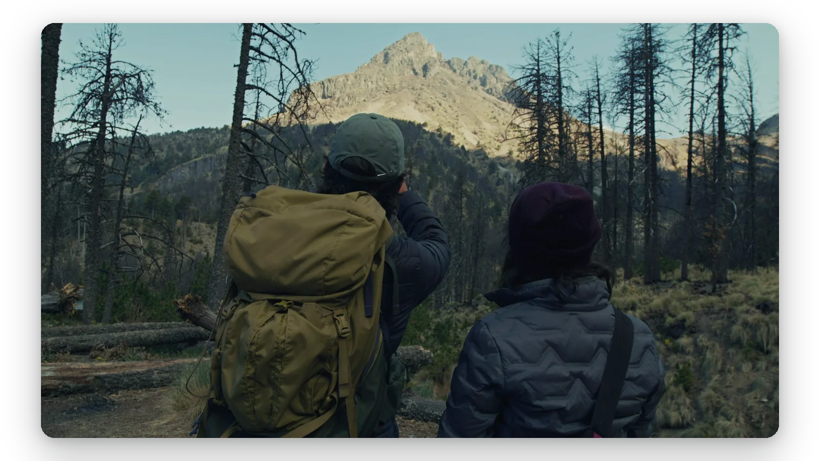 Benefit — Slow Motion Video Online: Slow Down Any Clip for Free